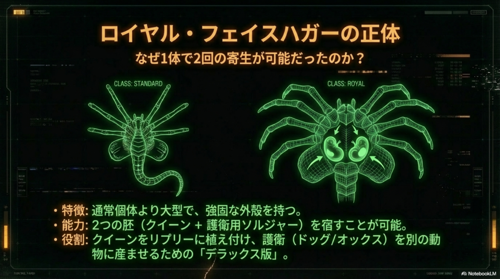 通常のフェイスハガーと、2つの胚を宿すことができる大型のロイヤル・フェイスハガーの構造図。